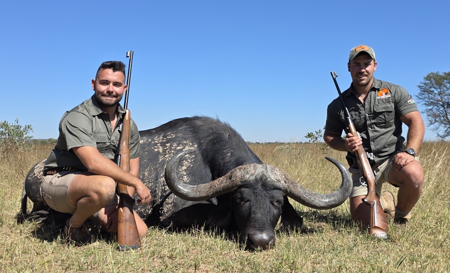 Cape Buffalo 4 - Inyati Africa Safaris