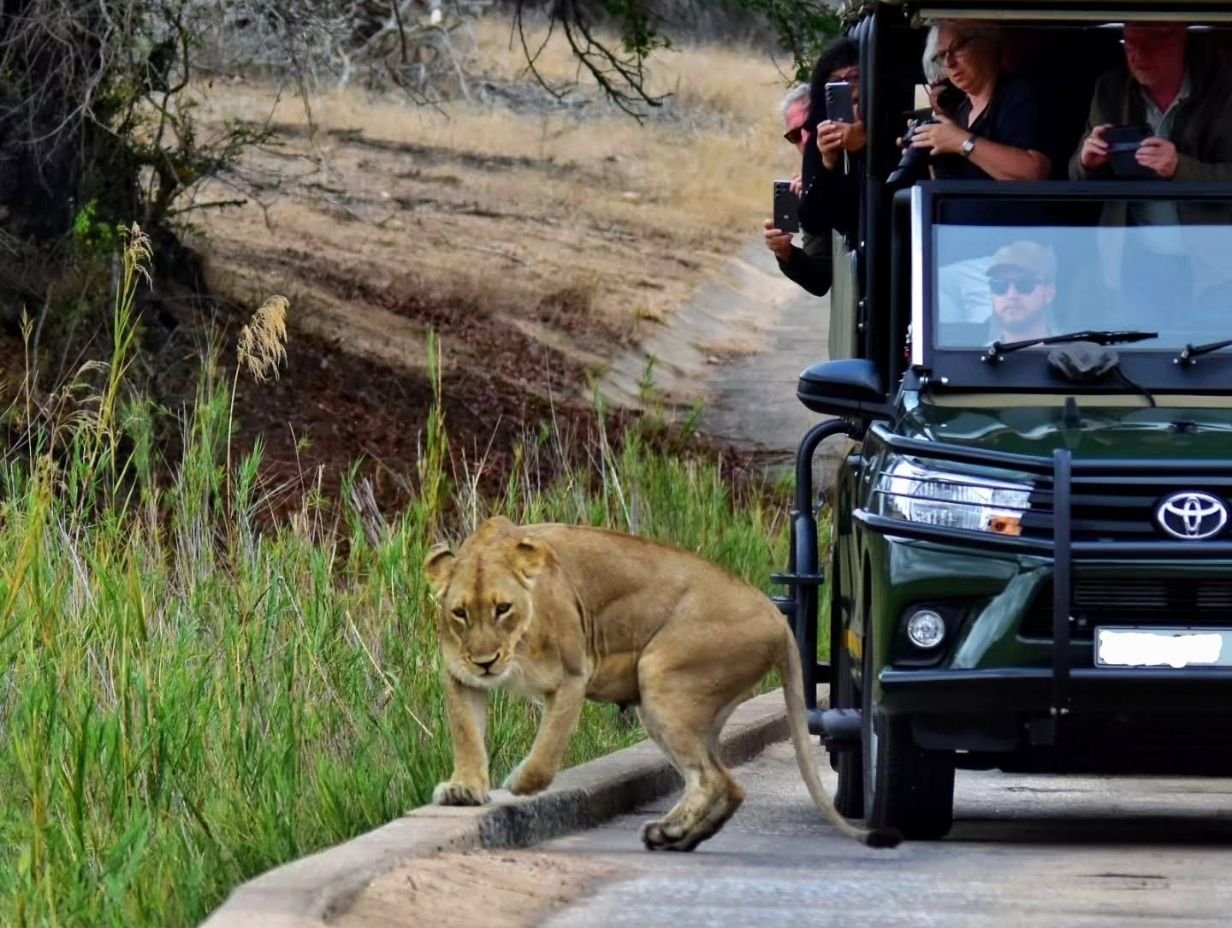 Photographic Safaris - Inyati Africa Safaris