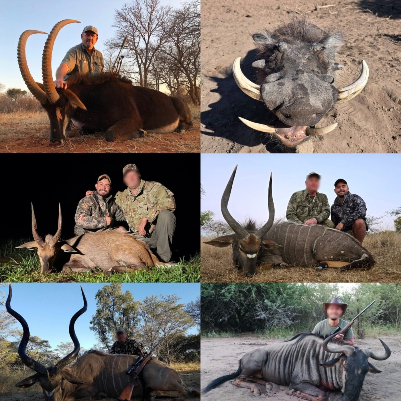 Inyati Africa Safaris - Trophy Hunting Pics Slideshow new Inyati Africa Safaris - Trophy Hunting Pics Slideshow new