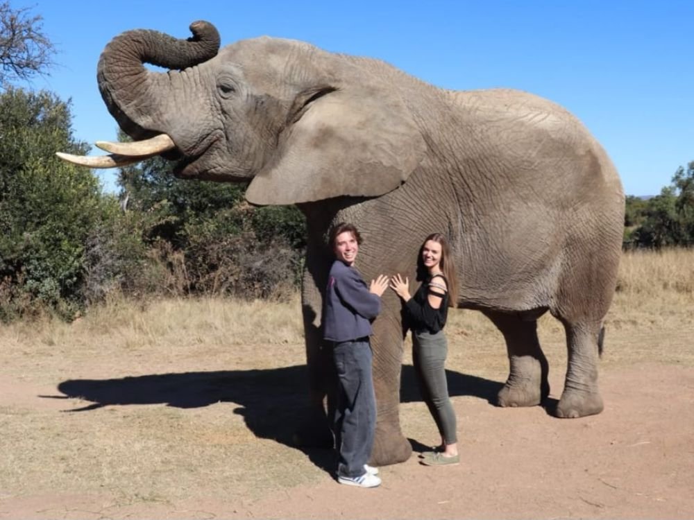 Guests interacting with an elephant on an Inyati Africa Safaris excursion