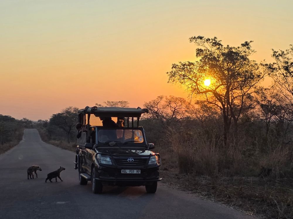 Guided Big Five game drive excursion at Inyati Africa Safaris