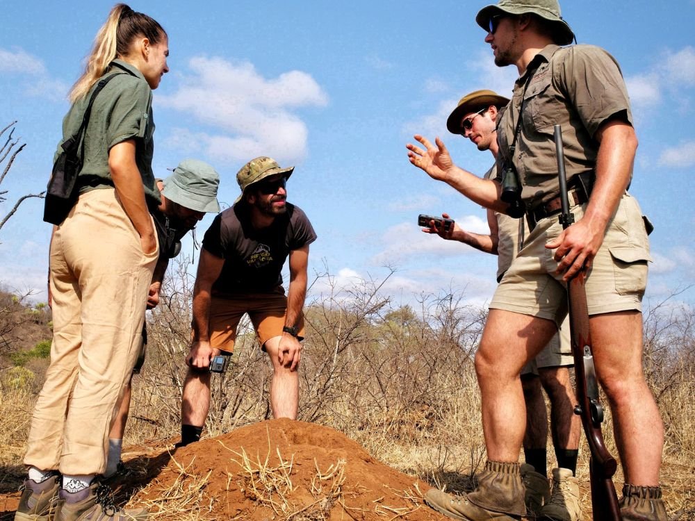 Guided bush walk safari excursion at Inyati Africa Safaris